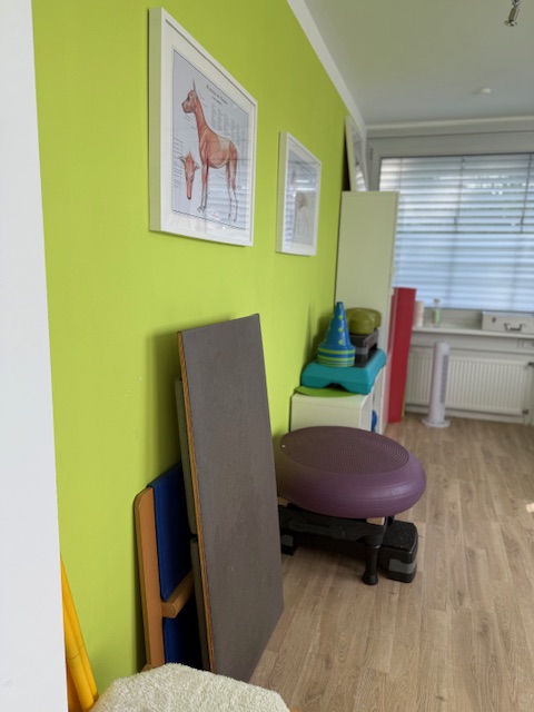 Behandlungsraum der Hundephysiotherapie-Praxis mit anatomischen Postern und moderner Ausstattung