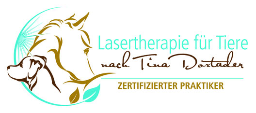 Zertifizierter Praktiker Lasertherapie
